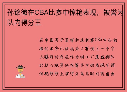 孙铭徽在CBA比赛中惊艳表现，被誉为队内得分王