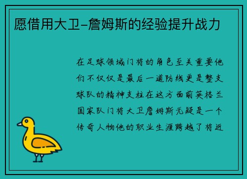 愿借用大卫-詹姆斯的经验提升战力